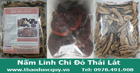Nấm linh chi đỏ sapa th&aacute;i l&aacute;t phơi kh&ocirc;